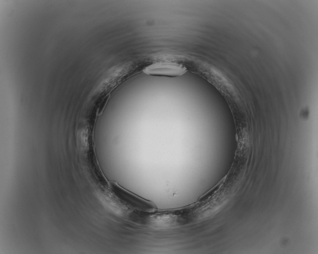 X0000095890452200801110832