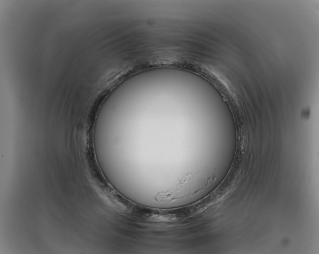 X0000095890455200801110832