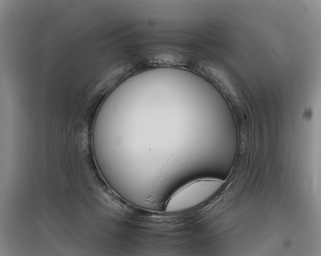 X0000095890457200801110832