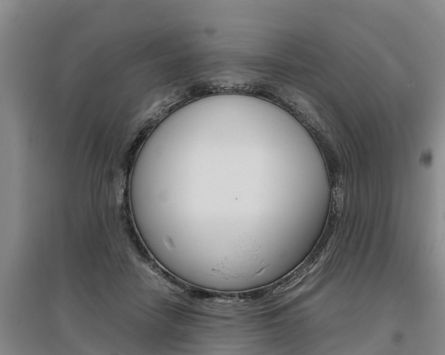 X0000095890458200801110832