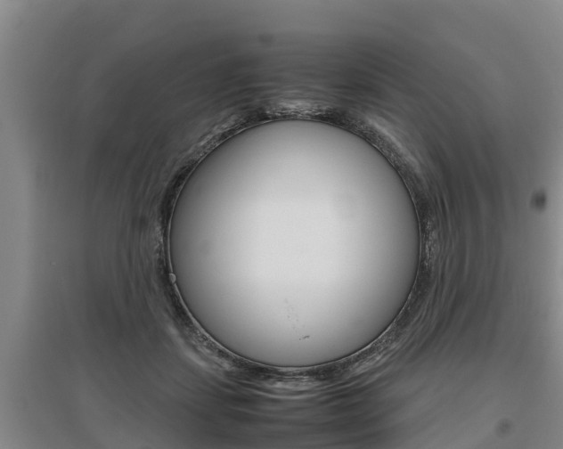 X0000095890459200801110832