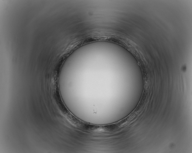 X0000095890460200801110832
