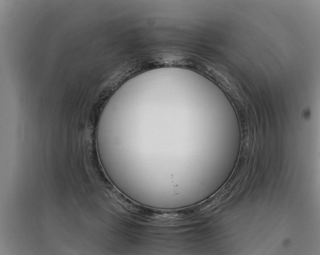 X0000095890461200801110832