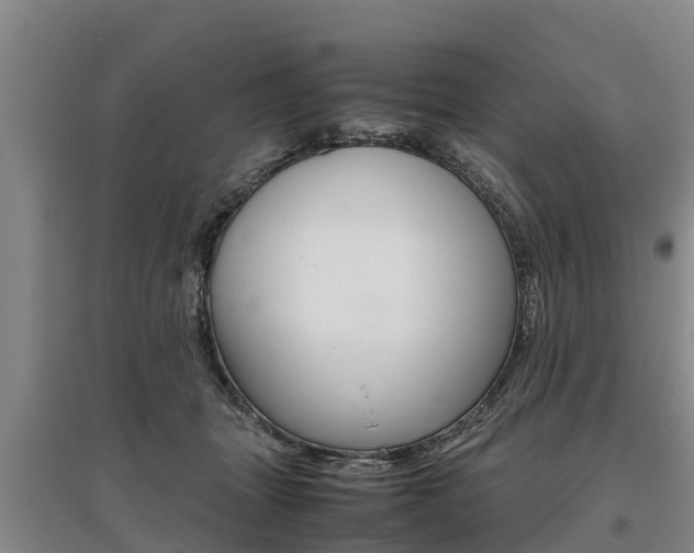 X0000095890463200801110832