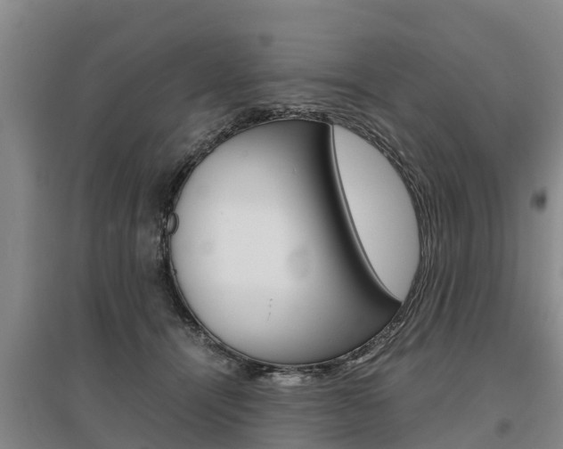 X0000095890464200801110832