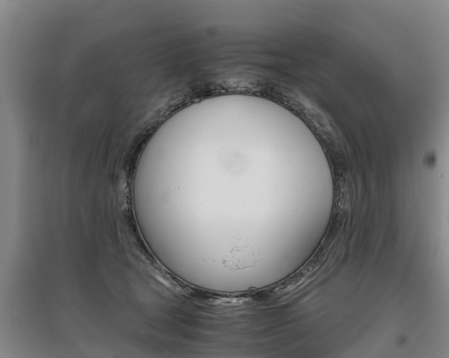 X0000095890465200801110832