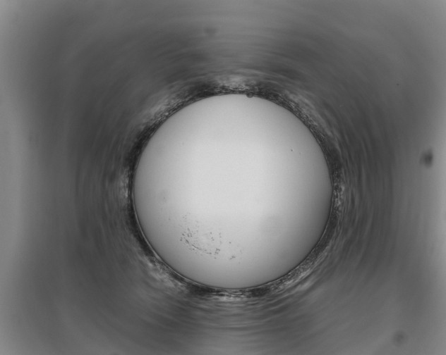 X0000095890466200801110833