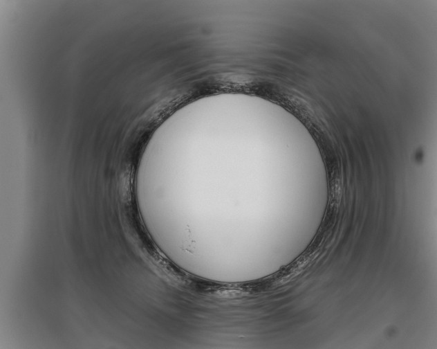 X0000095890468200801110833