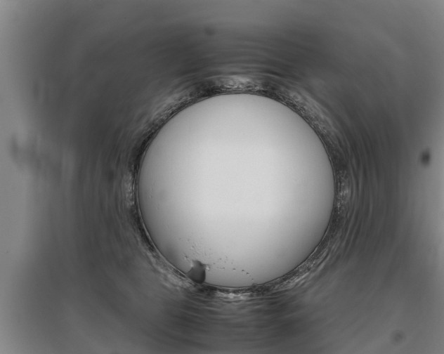 X0000095890469200801110833