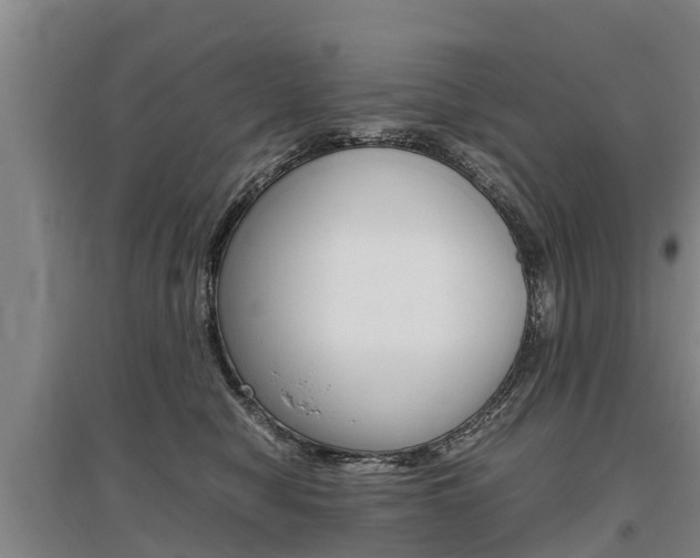 X0000095890470200801110833