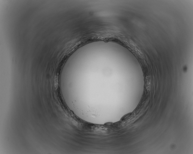 X0000095890471200801110833