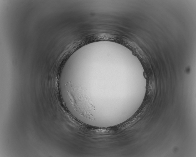 X0000095890473200801110833