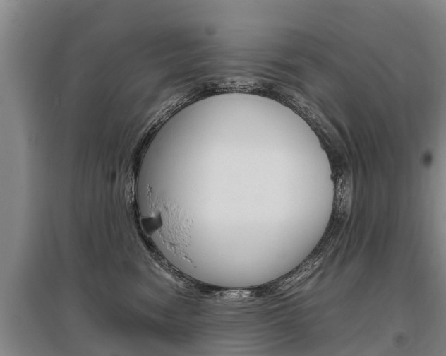X0000095890474200801110833