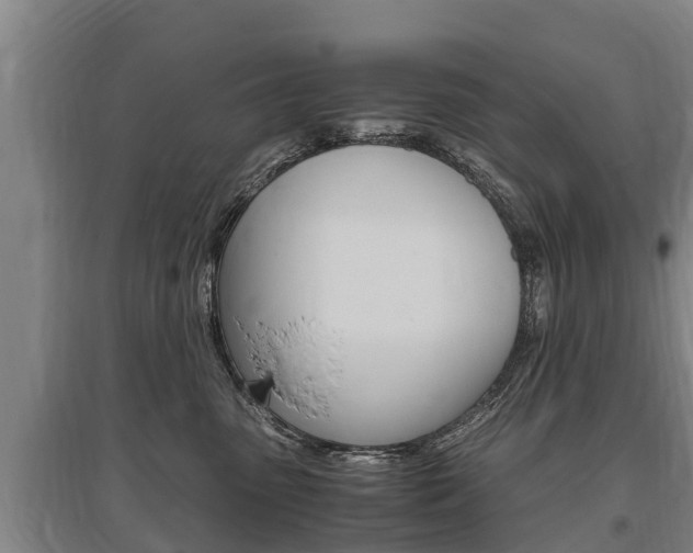 X0000095890475200801110833