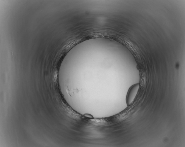 X0000095890477200801110833