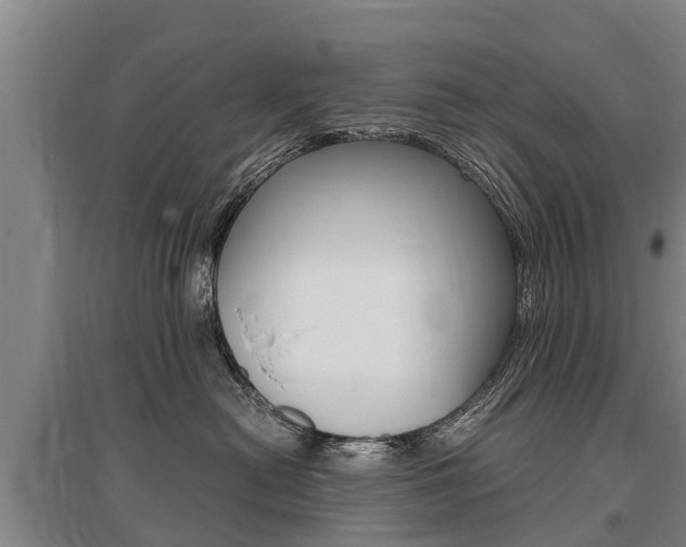 X0000095890478200801110833
