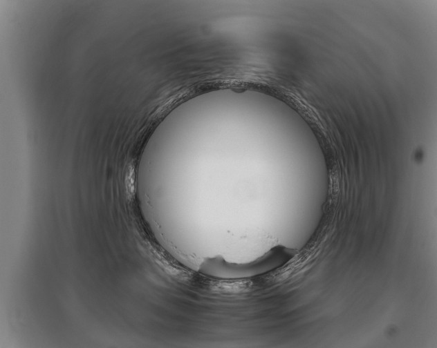 X0000095890479200801110833