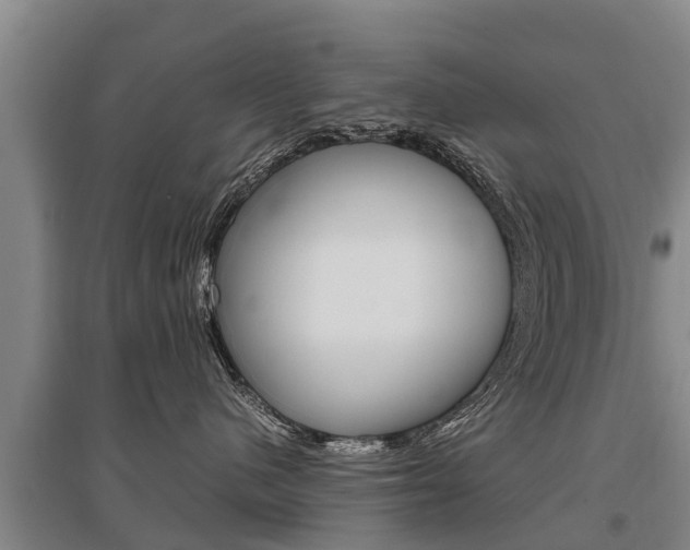 X0000095890480200801110833