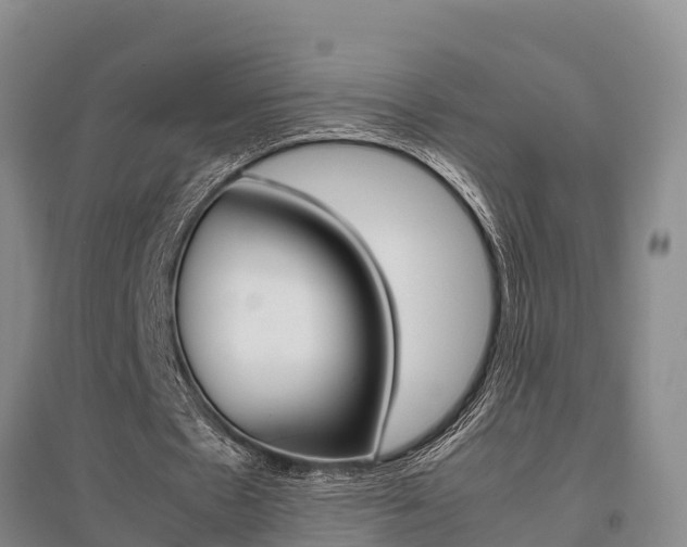 X0000095890481200801110832
