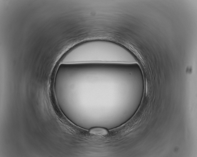 X0000095890483200801110832