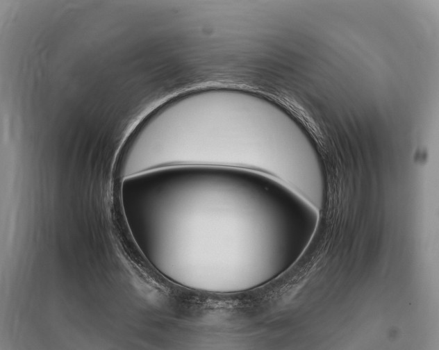 X0000095890484200801110832
