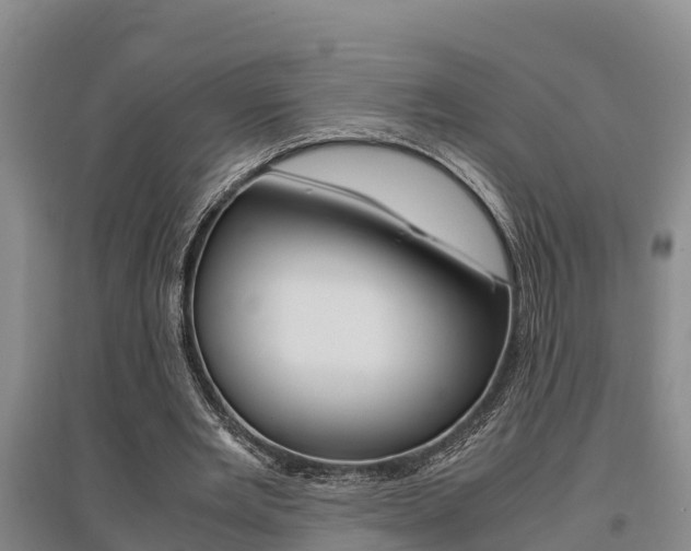 X0000095890485200801110832