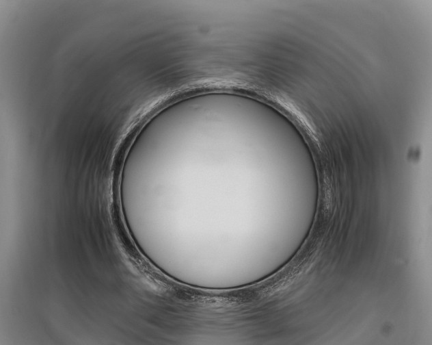 X0000095890486200801110832