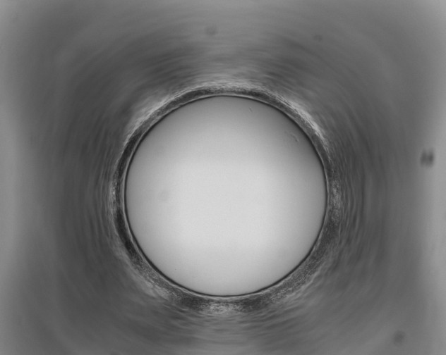X0000095890487200801110832