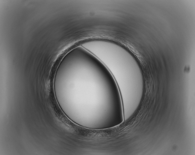 X0000095890488200801110832