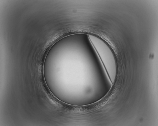 X0000095890489200801110832