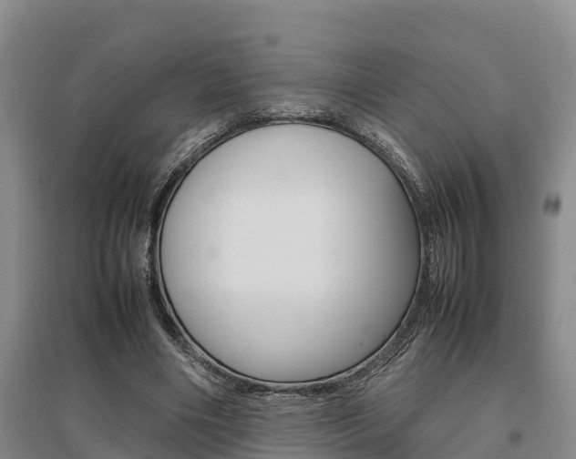X0000095890490200801110832