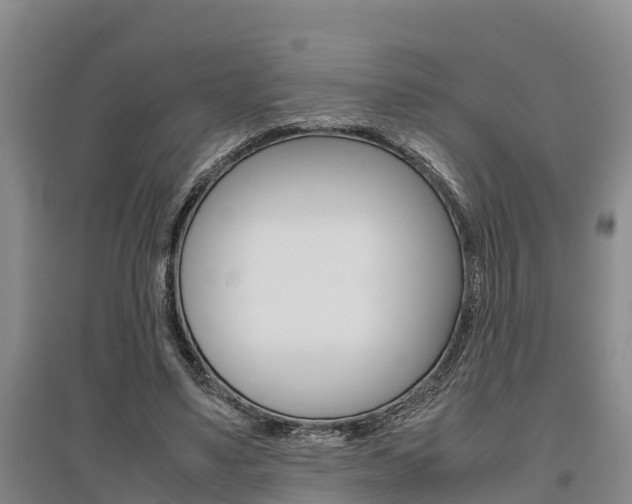 X0000095890491200801110832