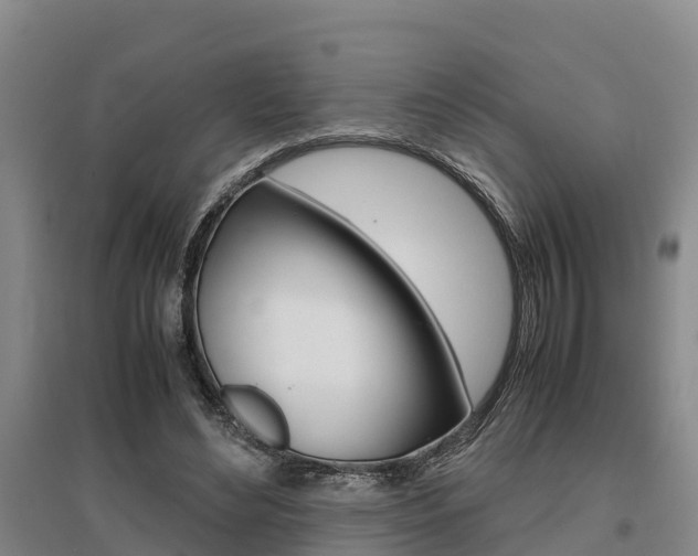 X0000095890492200801110832