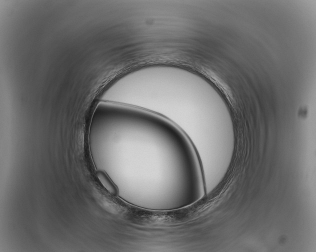 X0000095890493200801110832