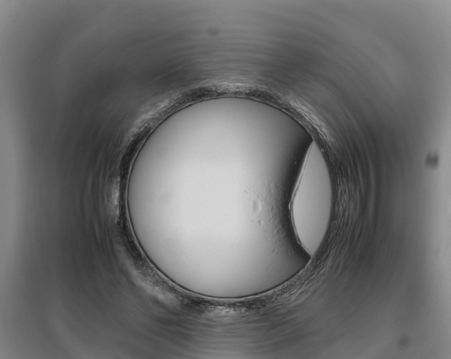 X0000095890494200801110832