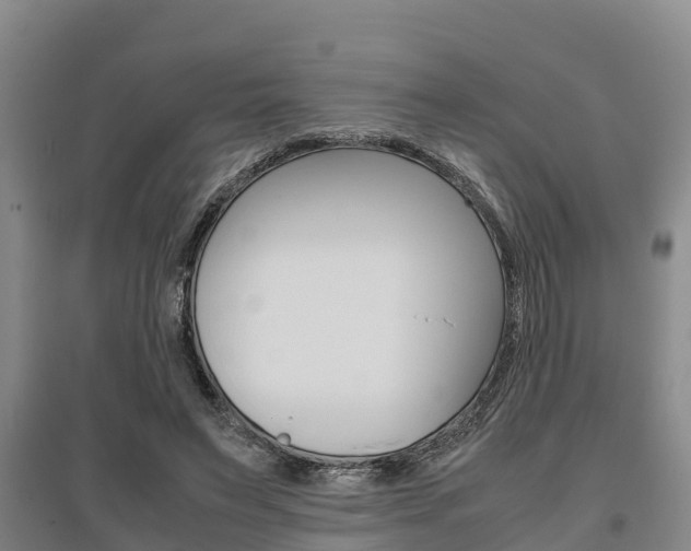 X0000095890495200801110832