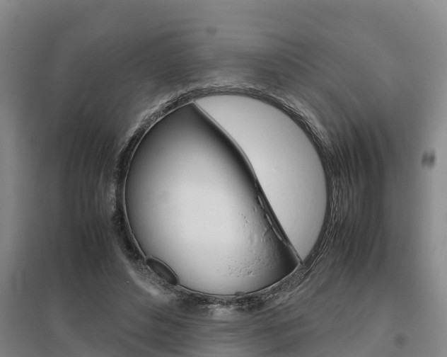 X0000095890496200801110832