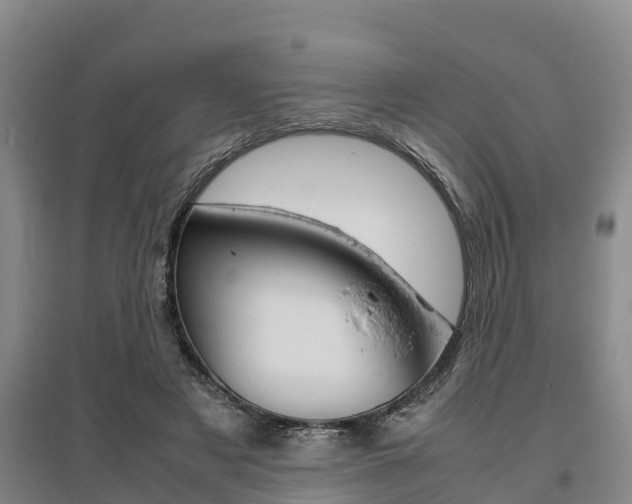 X0000095890497200801110832