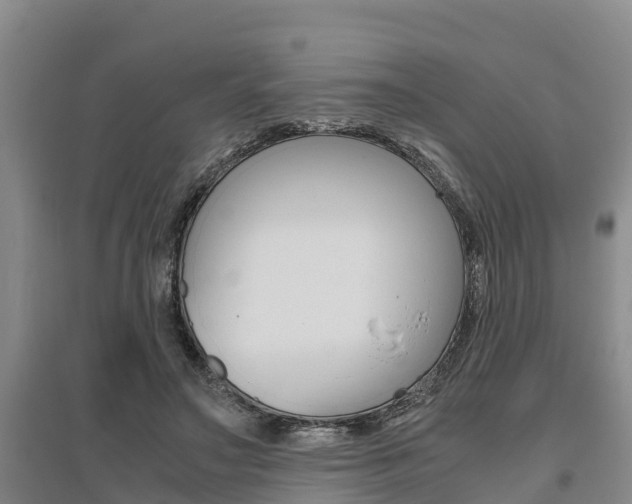 X0000095890499200801110832