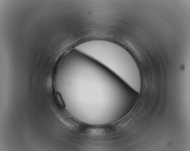 X0000095890500200801110832