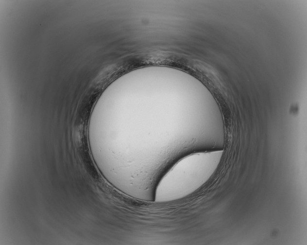 X0000095890503200801110832