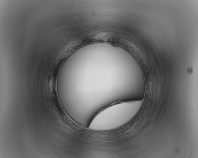 X0000095890504200801110832