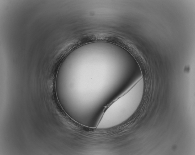 X0000095890505200801110832