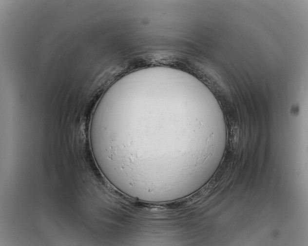 X0000095890506200801110832