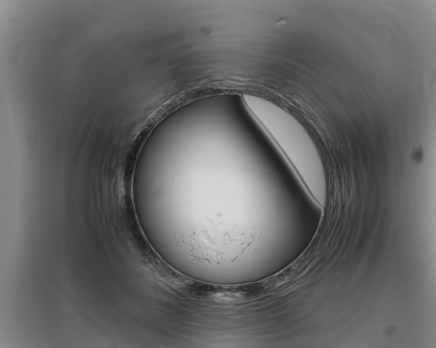 X0000095890508200801110832