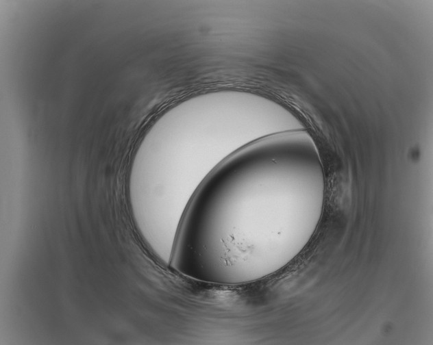 X0000095890509200801110832