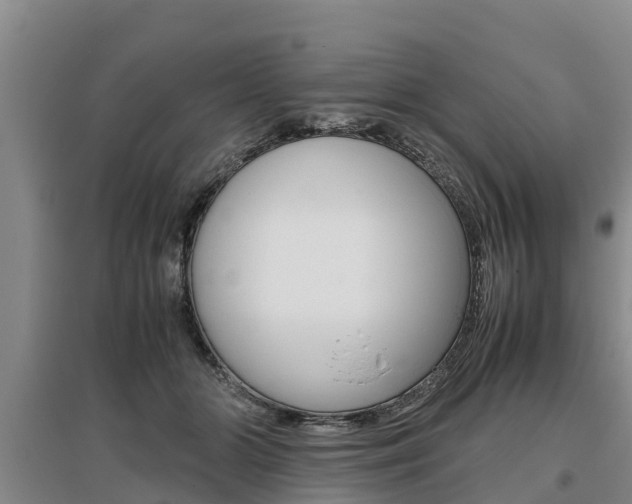 X0000095890510200801110832