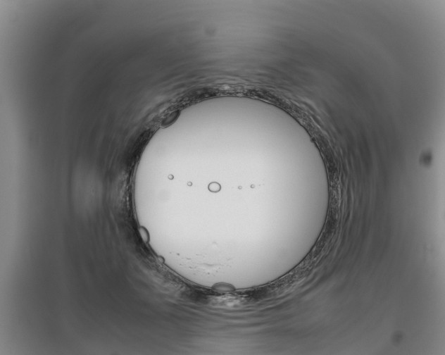 X0000095890511200801110832