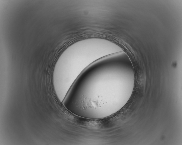 X0000095890513200801110832
