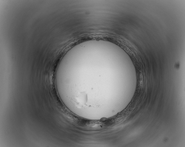X0000095890514200801110832